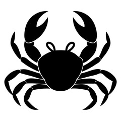 crab isolated on white background