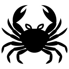 crab isolated on white background