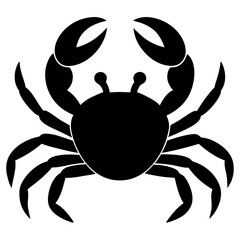 crab isolated on white background