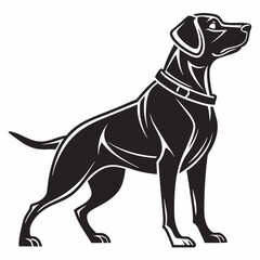 vector illustration of a dog