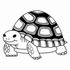 turtle illustration