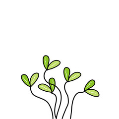 sprouted grains and micro greens vector
