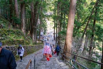 和歌山県　那智の滝の風景(2024年12月)