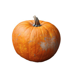 Obraz premium Autumnal orange pumpkin isolated on white transparent background