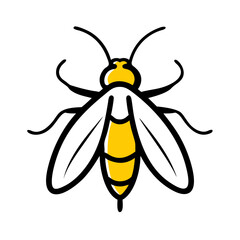 bee isolated on white