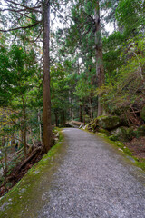 和歌山県　那智の滝の風景(2024年12月)