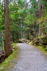 Obraz premium 和歌山県 那智の滝の風景(2024年12月)