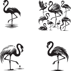 Obraz premium Flamingo black and white silhouette assets in vector farm