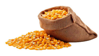 sack of corn isolated on white background 