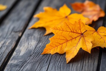 Autumn leaves on a wooden table with warm sunlight