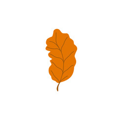 Obraz premium Hand drawn autumn leaves illustration 