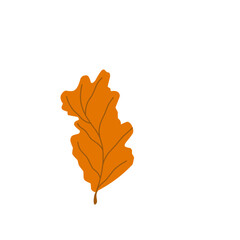 Hand drawn autumn leaves illustration 
