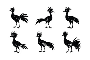 Hoatzin bird silhouette vector art illustration