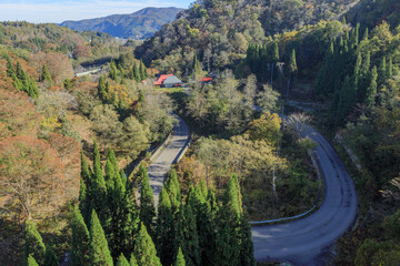 晩秋の信越大橋から望むアートな道路