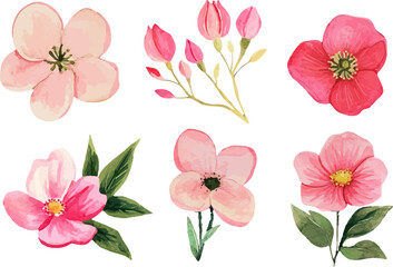 collection of flowers