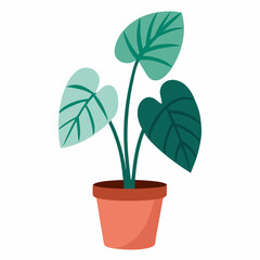 plant in pot