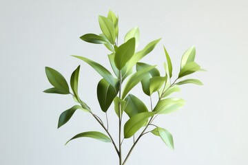 Fototapeta premium Leucophyllum plant animation, showing lifelike textures and smooth swaying on a white canvas with alpha channels.