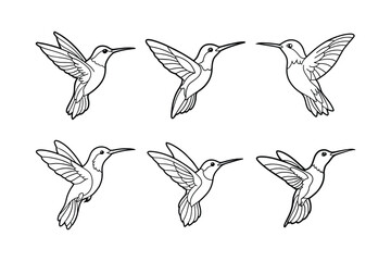 Obraz premium hummingbird line art vector illustration