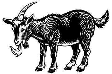 Male billy mountain goat vector art illustration