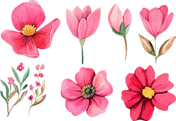 set of pink flowers isolated