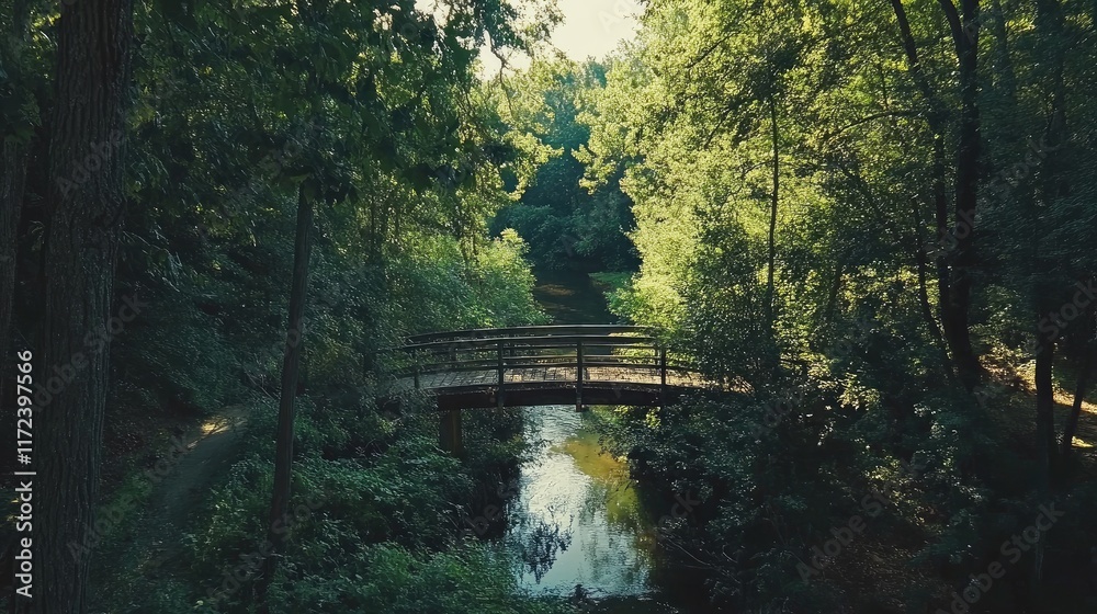 Poster serene footbridge overlooking a tranquil creek in a lush forest setting