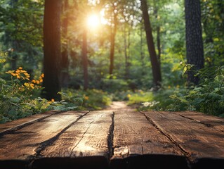 A serene forest scene with sunlight filtering through trees, highlighting a wooden pathway.