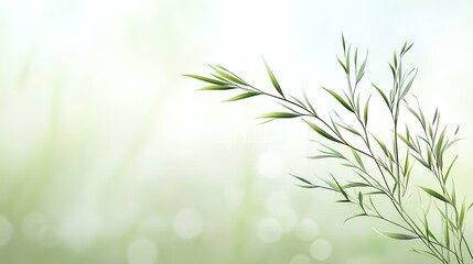 Delicate Green Leaves on a Soft Blurred Background of Nature