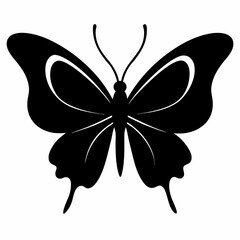 butterfly illustration