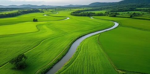 Obraz premium Wildlife corridors integrated into urban landscapes promote biodiversity and ecological connectivity in city environments.