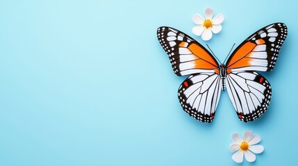Obraz premium Butterfly on Light Blue Background with White Flowers Decoration