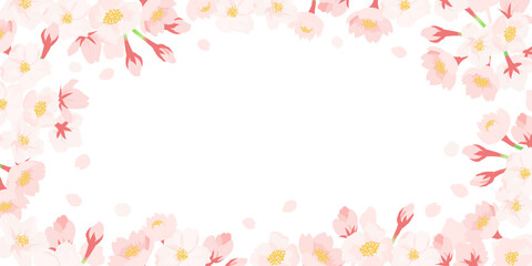 桜の花フレームデザイン | 白背景 素材 コピースペース 春 バナー