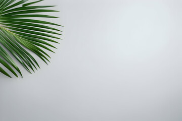 Fototapeta premium Exotic tropical green palm branch on neutral gray background with blank space for text . Top view, flat lay.