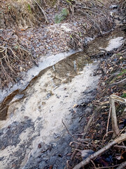A muddy stream with a lot of debris and branches. The water is murky and the ground is covered in...