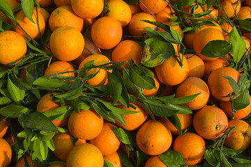 Imperfect oranges fruit texture. High resolution orange background.This photo shows oranges at a traditional market.