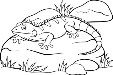 Fototapeta premium Cartoon Iguana Basking on Rock, Coloring Page, Reptile Illustration
