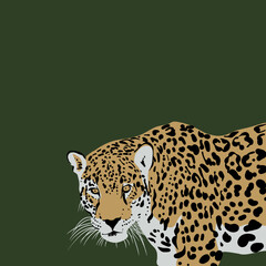 Artistic Vector Illustration of a Jaguar