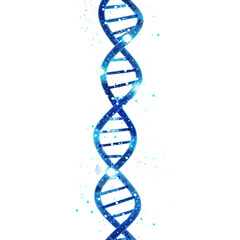 dna strand on white