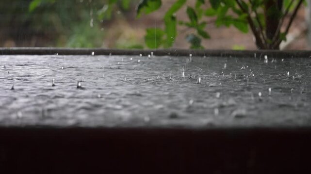 Calm Rain. High quality FullHD footage. Good sound of thunder. 