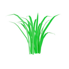 3D Nature Illustrations