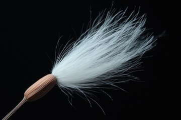 Macro shot of a dandelion seed head
