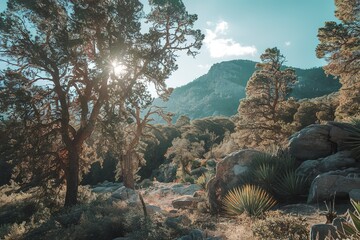 A natural landscape background with a forest and a mountain