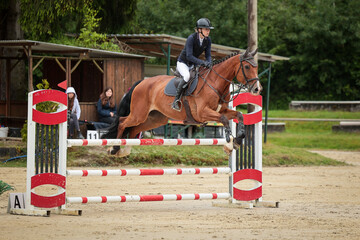 Horse jumping horse with rider in tournament.