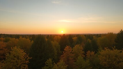 Obraz premium Aerial view of a vast forest showcasing the vibrant autumn foliage at sunset, with the sun setting behind the trees creating a warm and peaceful atmosphere.