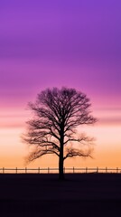 Fototapeta premium Twilight Tree Silhouette