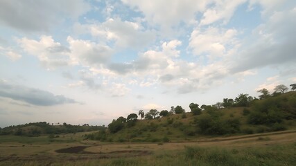 Obraz premium Serene landscape photograph of rolling hills under a cloudy sky, featuring lush green vegetation and a single palm tree.