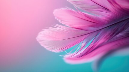 Feather abstract background idea. A close-up of a vibrant pink feather against a soft gradient background.