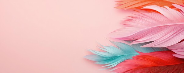 Obraz premium Soft abstract background concept. Colorful feathers creating a vibrant, soft texture against a pastel background.
