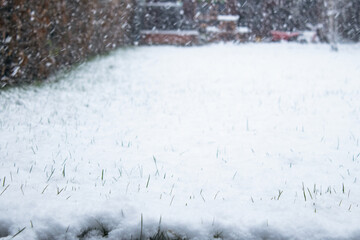 Snow covered ground, natural background 