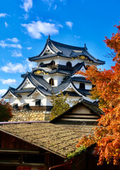 国宝・彦根城・紅葉（滋賀県・彦根市）