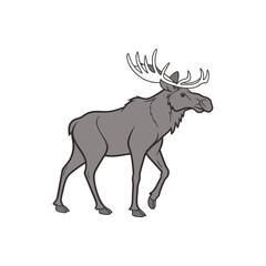 a moose vector art and illustratior